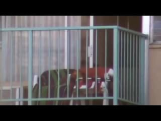 camara oculta argentina